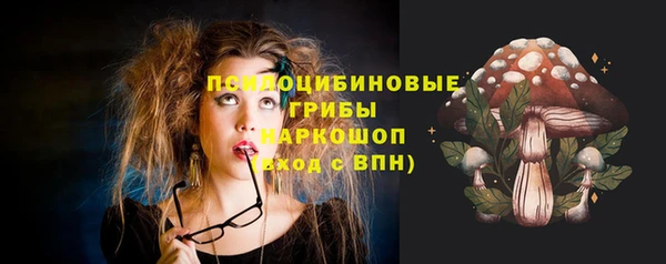 дмт Аркадак
