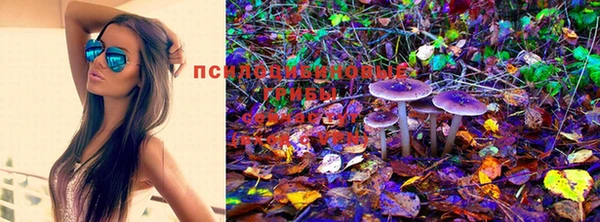 метамфетамин Медвежьегорск